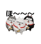 動く 3D三匹の擦れねこ（個別スタンプ：3）