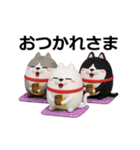 動く 3D三匹の擦れねこ（個別スタンプ：9）