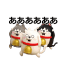 動く 3D三匹の擦れねこ（個別スタンプ：12）