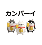 動く 3D三匹の擦れねこ（個別スタンプ：16）
