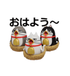 動く 3D三匹の擦れねこ（個別スタンプ：17）