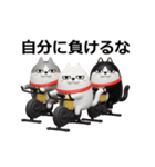 動く 3D三匹の擦れねこ（個別スタンプ：20）