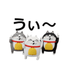 動く 3D三匹の擦れねこ（個別スタンプ：22）