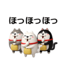 動く 3D三匹の擦れねこ（個別スタンプ：23）