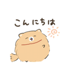 豆ポメ 日常スタンプ（個別スタンプ：3）
