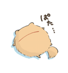 豆ポメ 日常スタンプ（個別スタンプ：24）