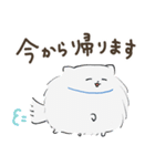豆ポメ 日常スタンプ（個別スタンプ：33）
