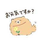 豆ポメ 日常スタンプ（個別スタンプ：37）