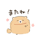 豆ポメ 日常スタンプ（個別スタンプ：40）