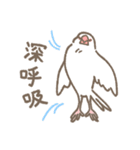 とりちゃんたちの褒めと励まし（個別スタンプ：39）
