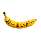 バナナメッセージ-日常5（個別スタンプ：35）