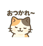 ねこのきもち＊毎日つかえるスタンプ（個別スタンプ：22）