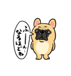 はなぺちゃ大集合！！3（個別スタンプ：31）