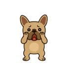 ナマケモノナマタン3（個別スタンプ：4）