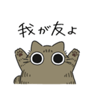 ねこぽっくるキジトラ【友達】（個別スタンプ：1）