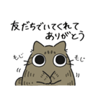 ねこぽっくるキジトラ【友達】（個別スタンプ：3）