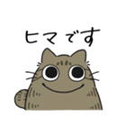 ねこぽっくるキジトラ【友達】（個別スタンプ：7）