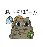 ねこぽっくるキジトラ【友達】（個別スタンプ：11）
