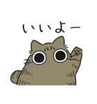 ねこぽっくるキジトラ【友達】（個別スタンプ：13）