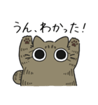 ねこぽっくるキジトラ【友達】（個別スタンプ：14）