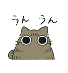 ねこぽっくるキジトラ【友達】（個別スタンプ：20）