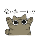 ねこぽっくるキジトラ【友達】（個別スタンプ：23）