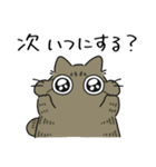 ねこぽっくるキジトラ【友達】（個別スタンプ：25）