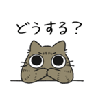 ねこぽっくるキジトラ【友達】（個別スタンプ：30）