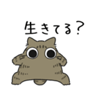 ねこぽっくるキジトラ【友達】（個別スタンプ：31）