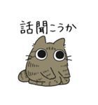 ねこぽっくるキジトラ【友達】（個別スタンプ：35）