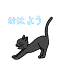 ゆるーい黒猫ちゃん（個別スタンプ：1）