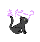 ゆるーい黒猫ちゃん（個別スタンプ：11）