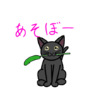 ゆるーい黒猫ちゃん（個別スタンプ：12）