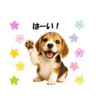かわいいビーグルの犬スタンプ2（個別スタンプ：5）