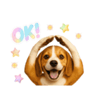 かわいいビーグルの犬スタンプ2（個別スタンプ：6）