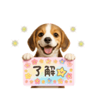 かわいいビーグルの犬スタンプ2（個別スタンプ：8）