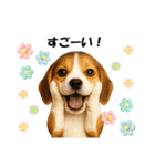 かわいいビーグルの犬スタンプ2（個別スタンプ：16）
