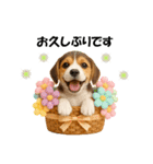 かわいいビーグルの犬スタンプ2（個別スタンプ：18）