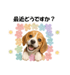かわいいビーグルの犬スタンプ2（個別スタンプ：21）