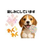 かわいいビーグルの犬スタンプ2（個別スタンプ：23）