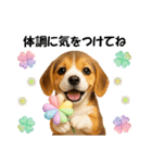 かわいいビーグルの犬スタンプ2（個別スタンプ：27）