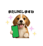 かわいいビーグルの犬スタンプ2（個別スタンプ：28）