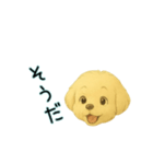 こいぬY024（個別スタンプ：2）