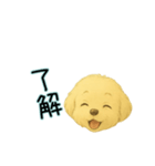 こいぬY024（個別スタンプ：3）