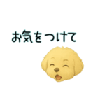 こいぬY024（個別スタンプ：18）