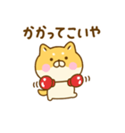 関西弁で煽るゆる柴犬（個別スタンプ：1）
