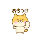 関西弁で煽るゆる柴犬（個別スタンプ：2）