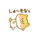 関西弁で煽るゆる柴犬（個別スタンプ：14）