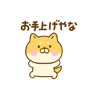 関西弁で煽るゆる柴犬（個別スタンプ：20）