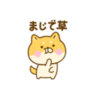 関西弁で煽るゆる柴犬（個別スタンプ：39）
